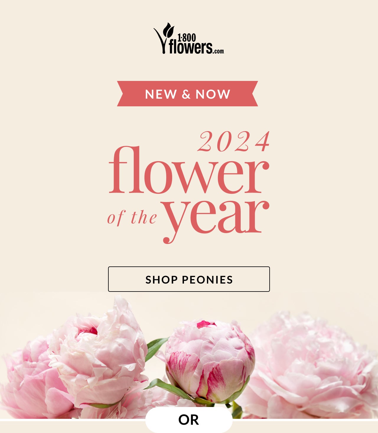 SHOP PEONIES