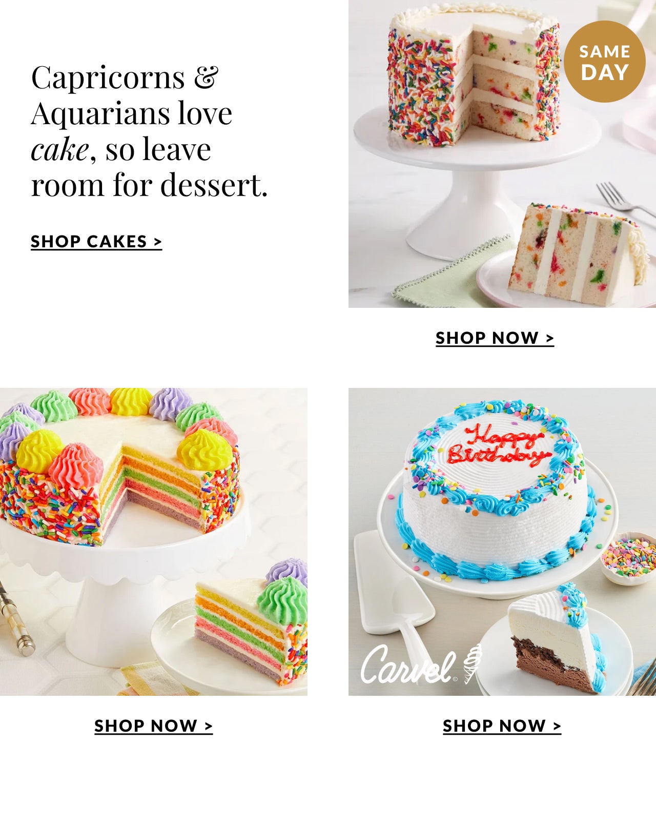 SHOP CAKES