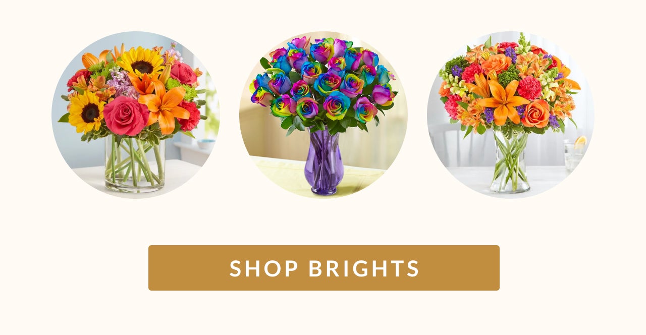 SHOP BRIGHTS