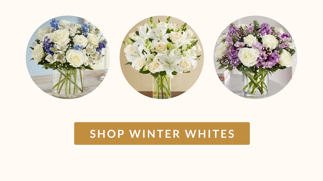 SHOP WINTER WHITES