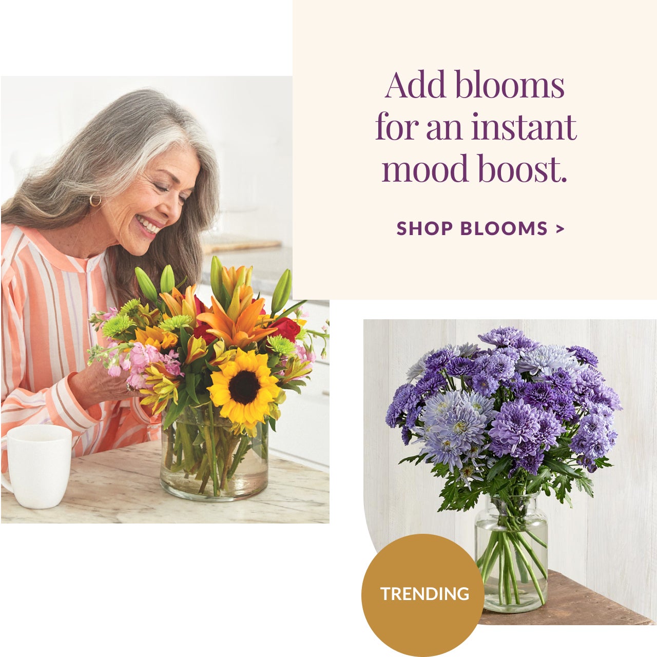 SHOP BLOOMS