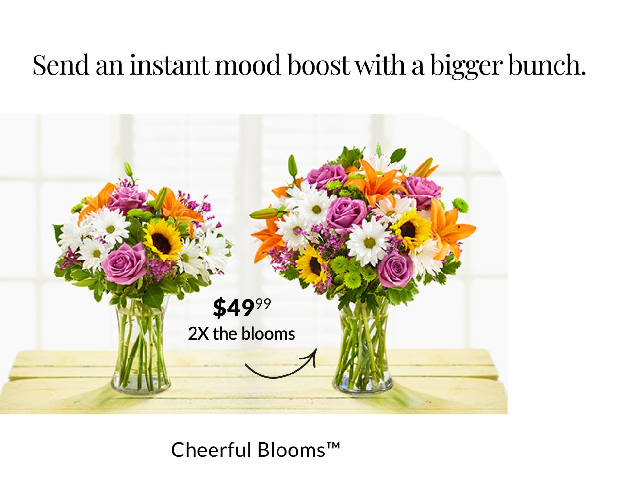 CHEERFUL BLOOMS