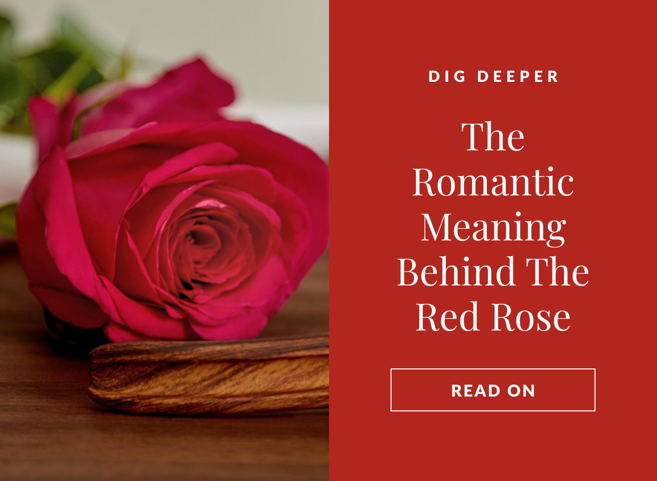 THE ROMANTIC MEANING BEHIND THE RED ROSE