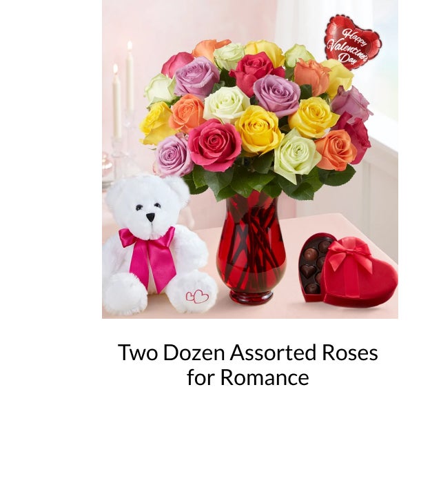 TWO DOZEN ASSORTED ROSES