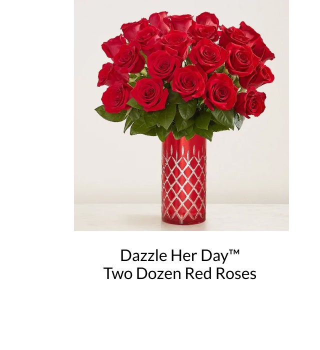 DAZZLE HER DAY TWO DOZEN RED ROSES