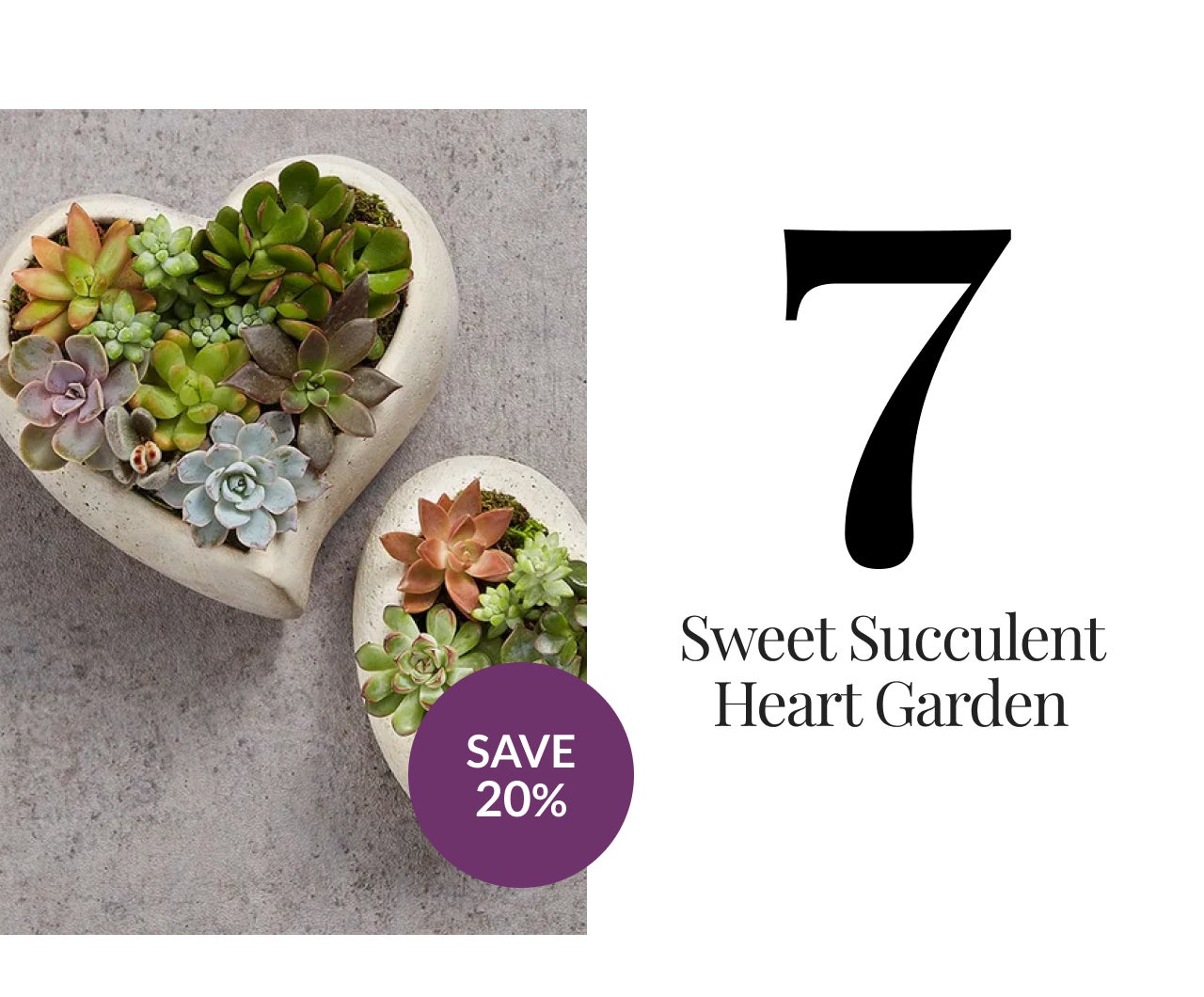 SWEET SUCCULENT HEART GARDEN