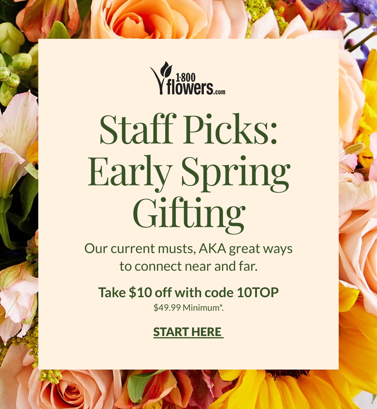 EARLY SPRING GIFTING