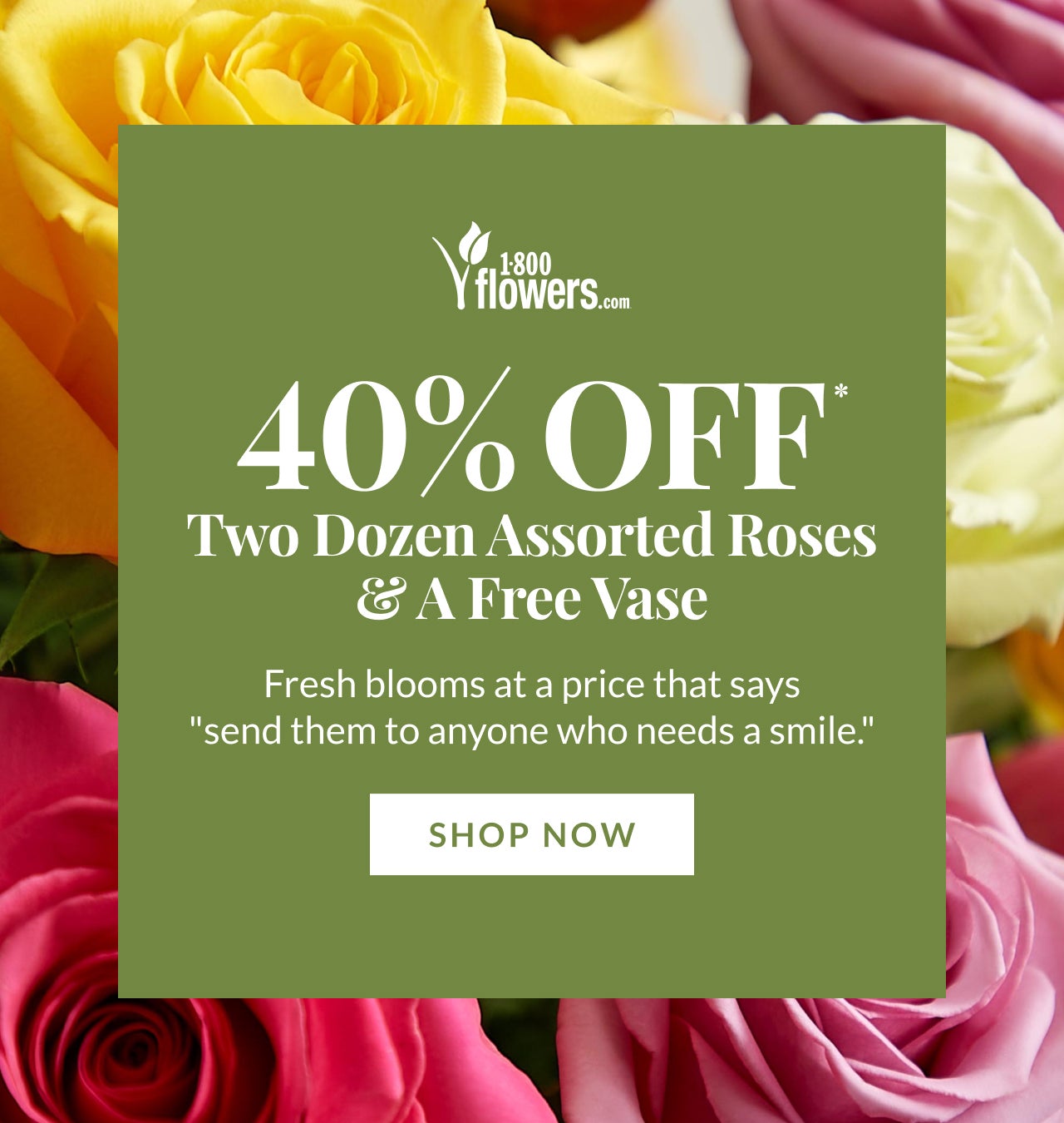 SHOP ROSES TODAY