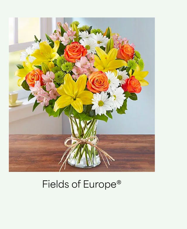 FIELDS OF EUROPE