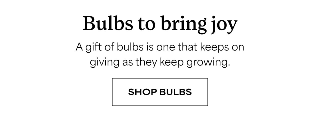 Bulbs to bring joy