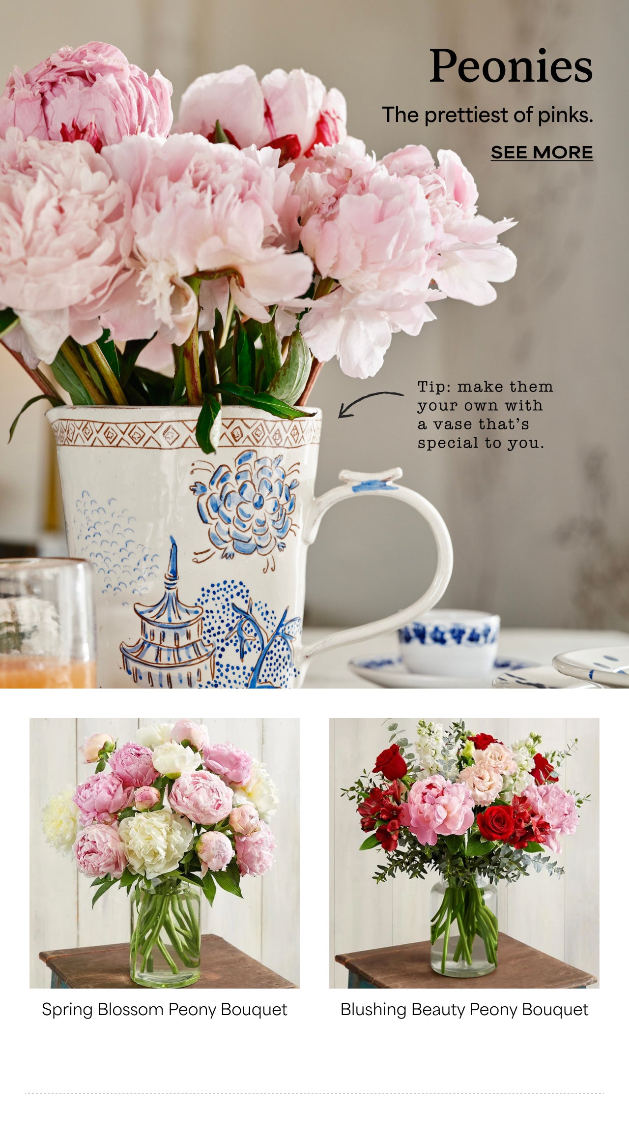 SEE MORE PEONIES