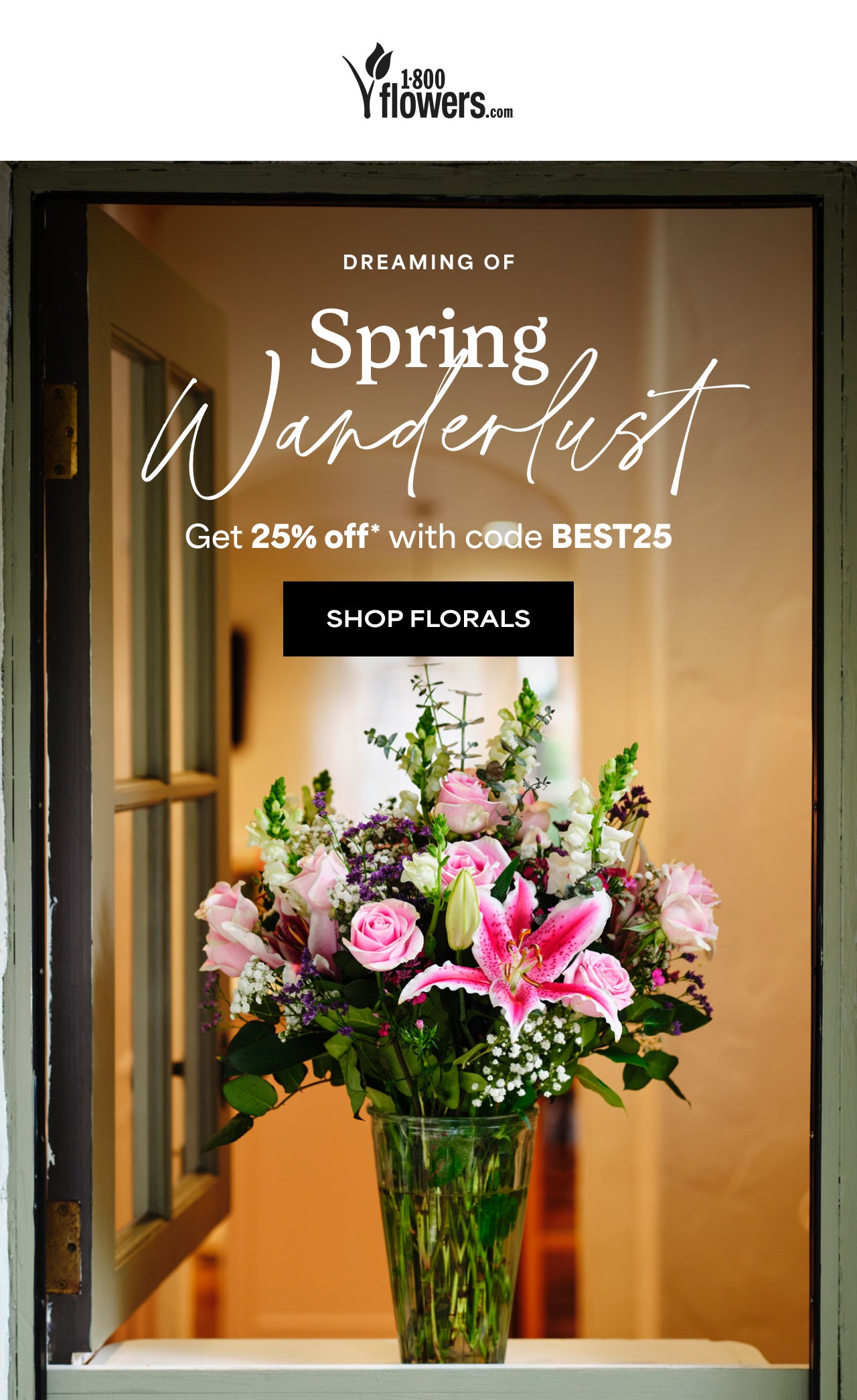 SPRING WANDERLUST 25% odd* with code TK