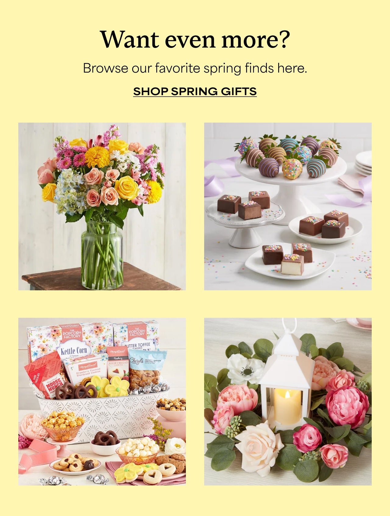 SHOP SPRING GIFTS