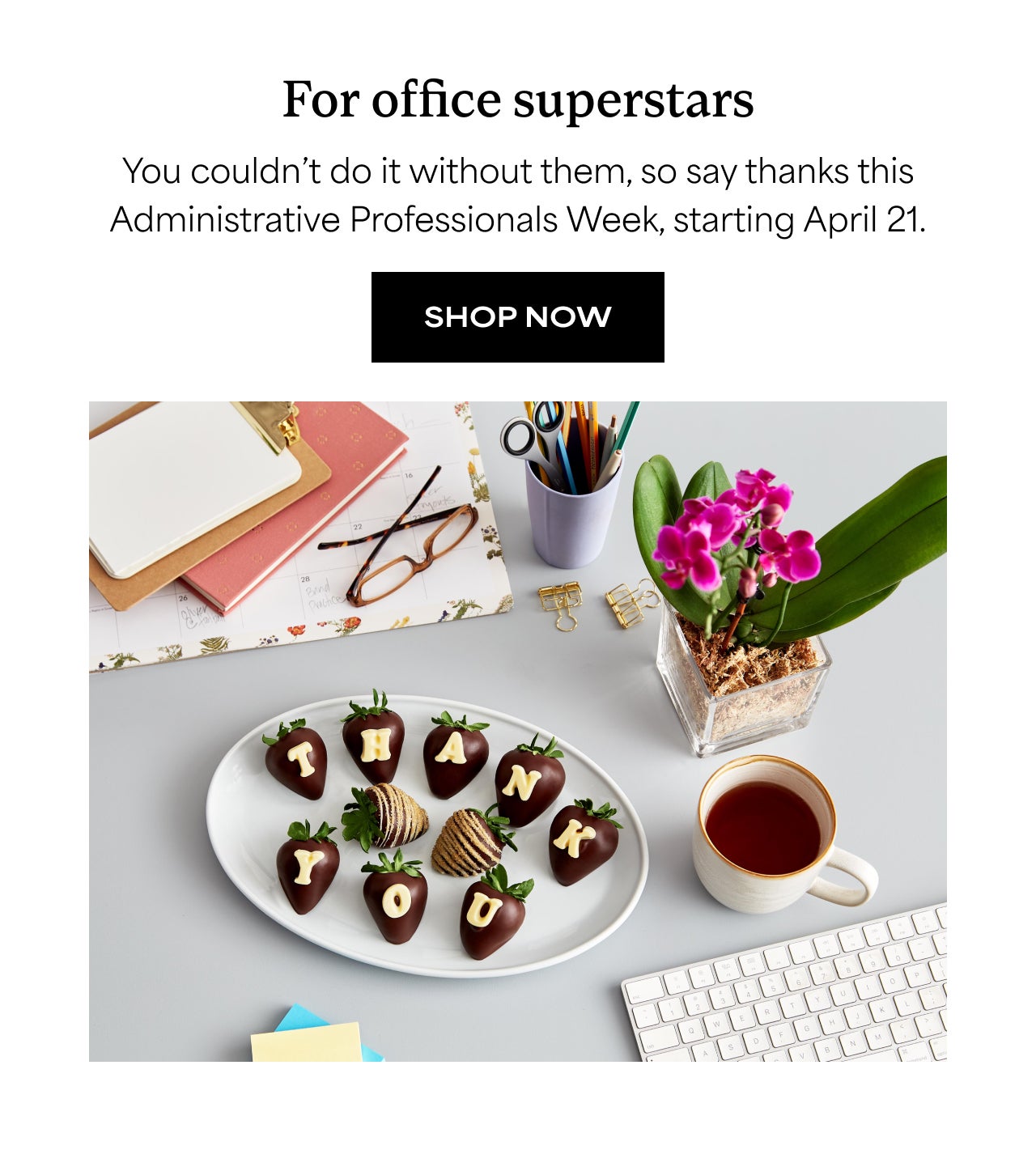 FOR OFFICE SUPERSTARS