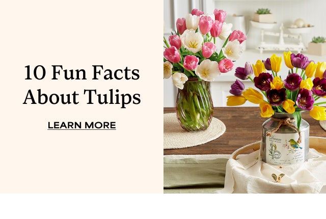 10 FUN FACTS ABOUT TULIPS