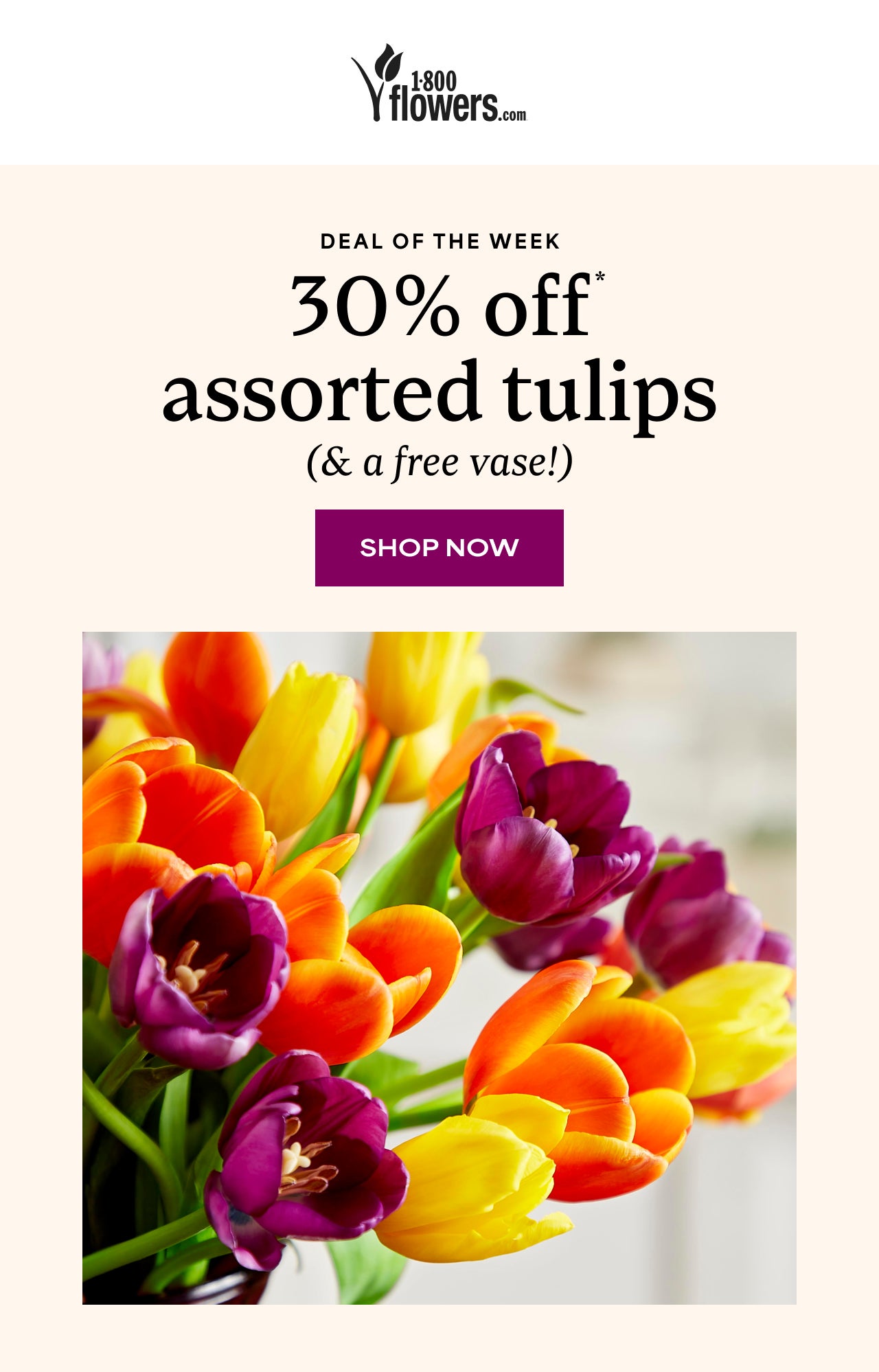 30% Off Assorted Tulips (& a free vase!)