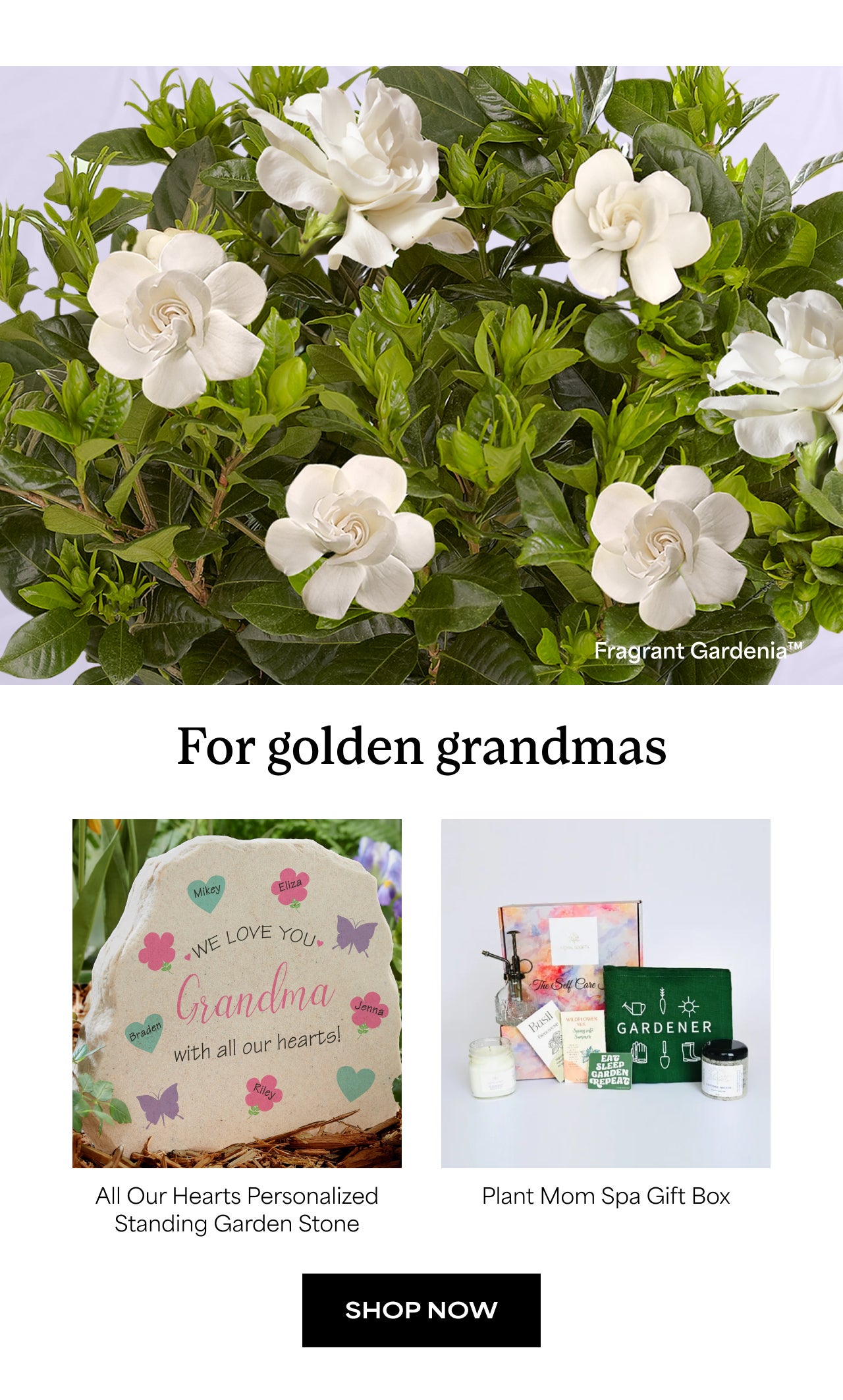 SHOP FOR GRANDMAS