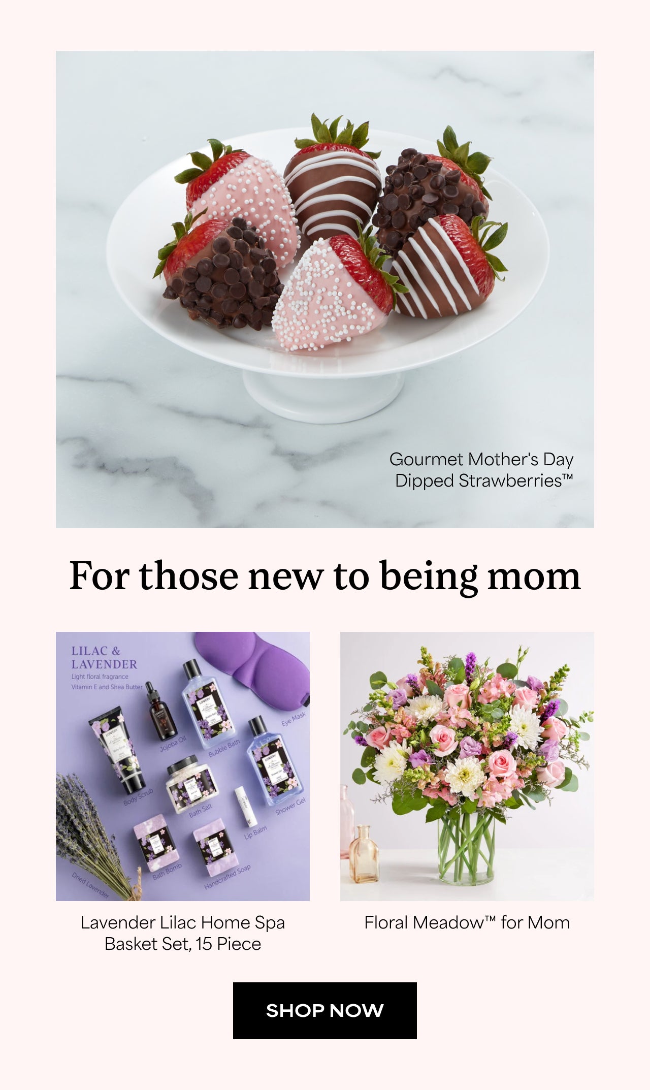 SHOP FOR NEW MOMS