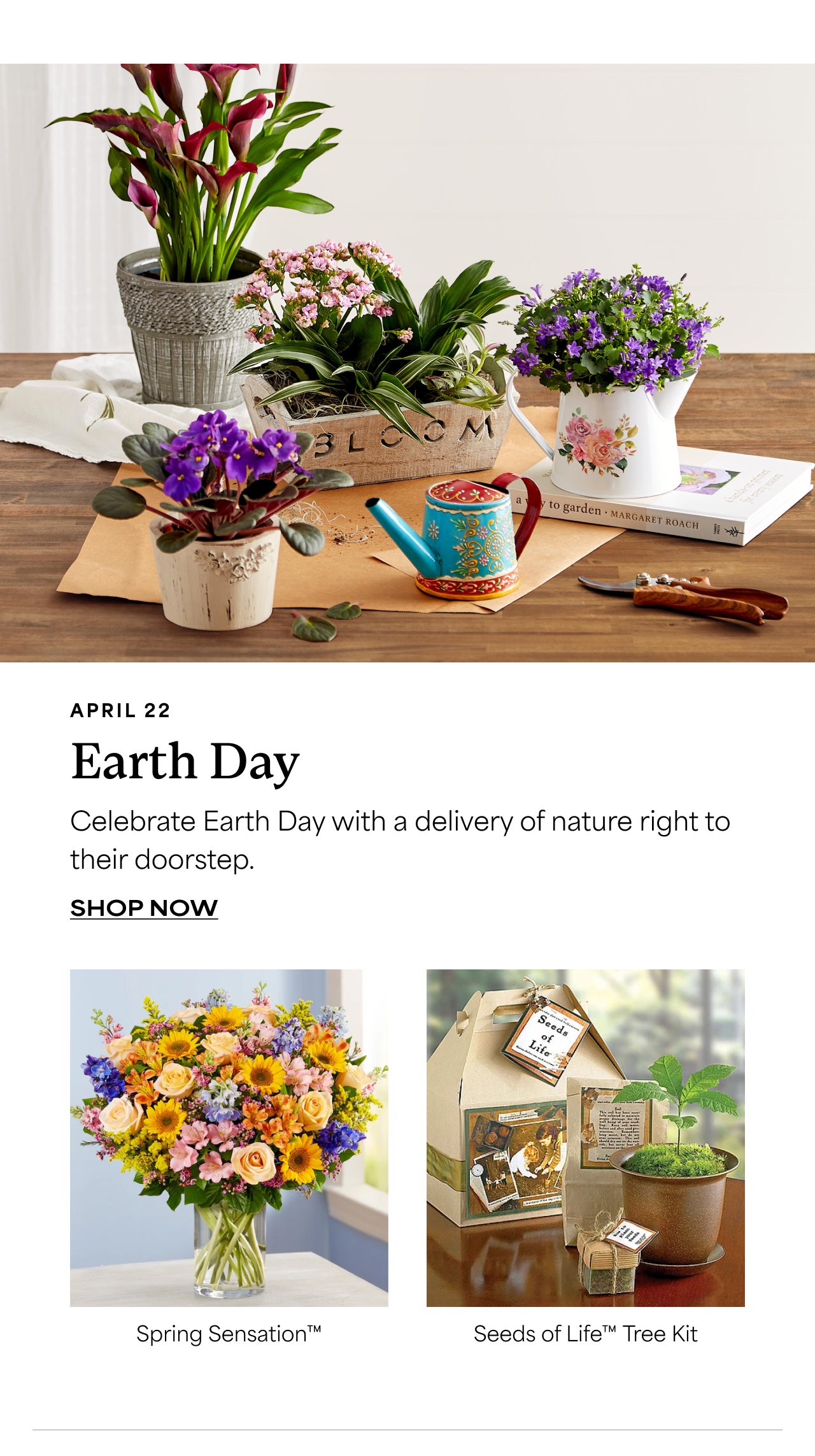 SHOP EARTH DAY