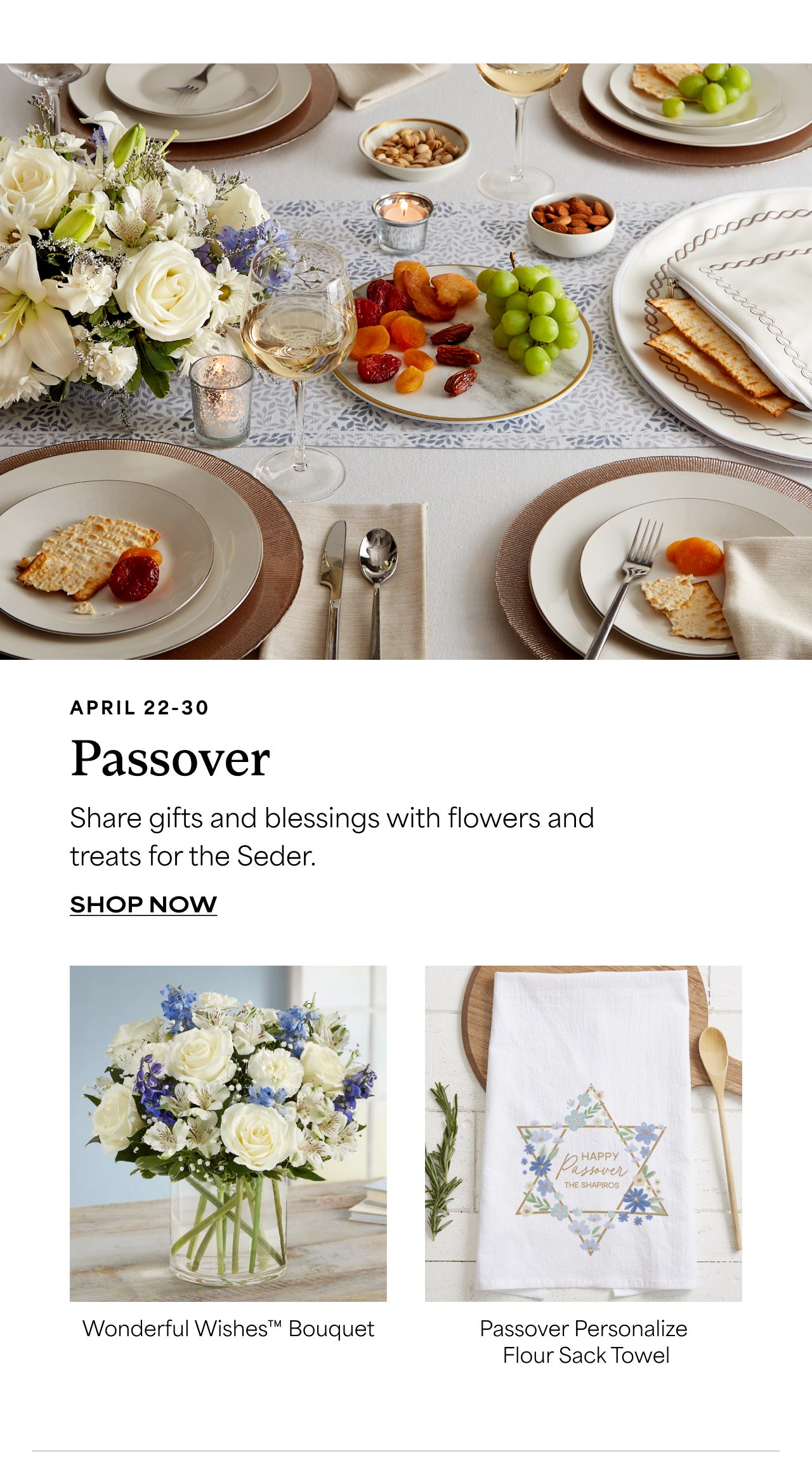 SHOP PASSOVER