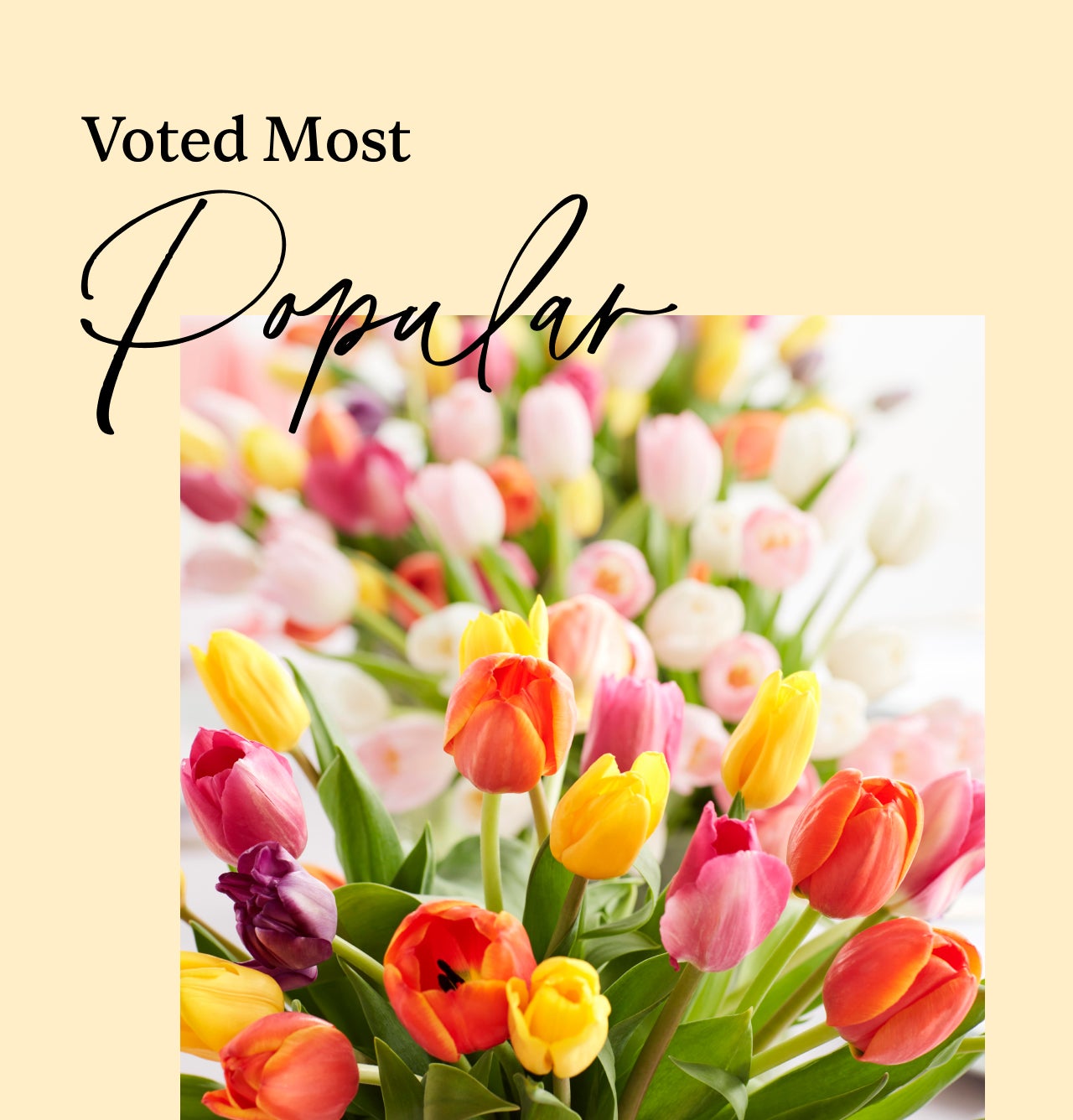 VOTED MOST POPULAR