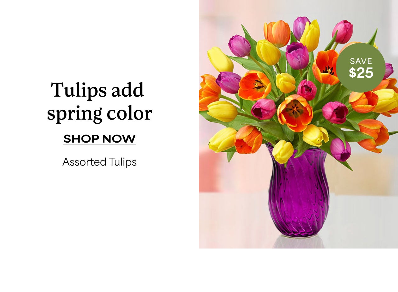 ASSORTED TULIPS