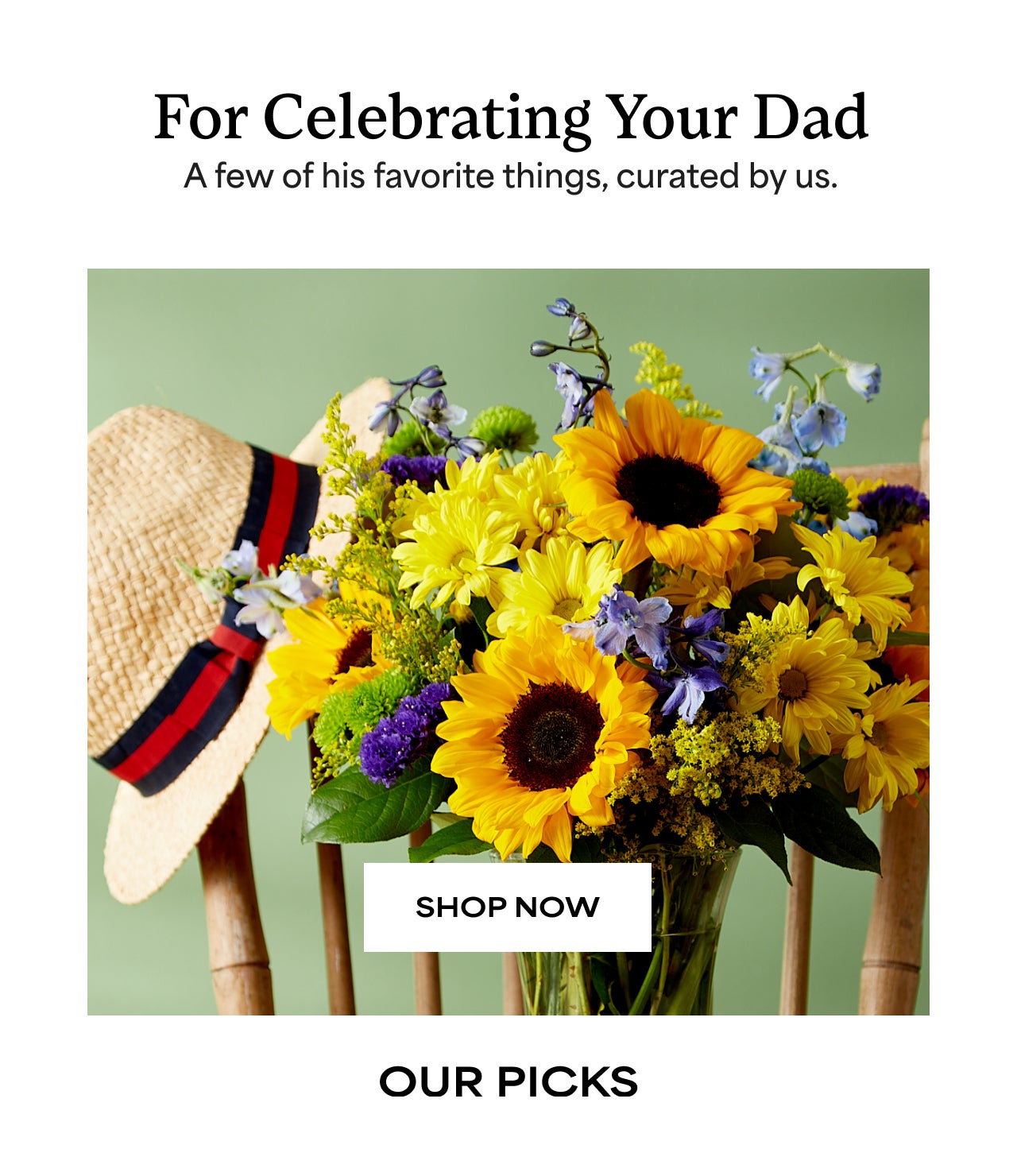 FOR CELEBRATING YOUR DAD