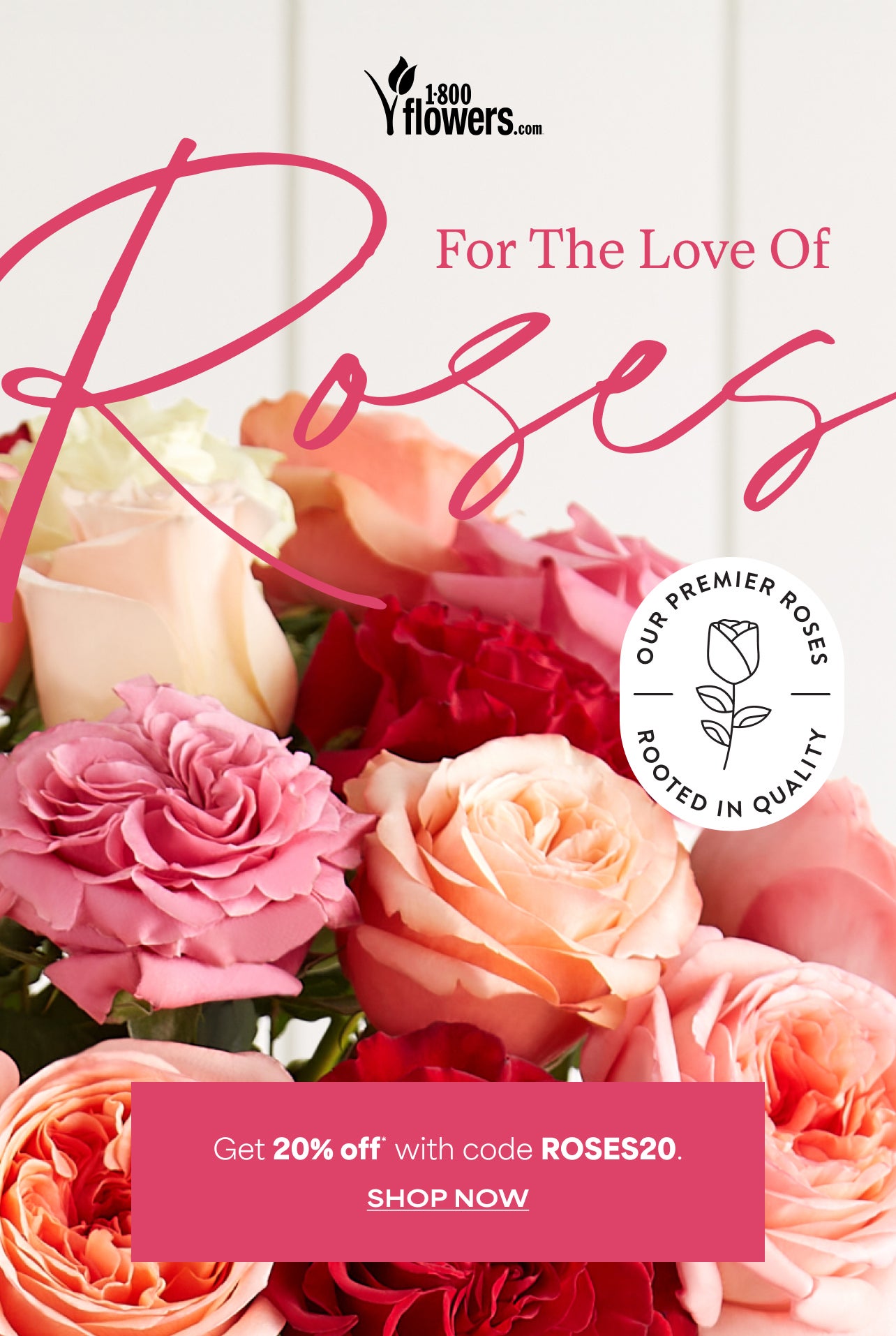 FOR THE LOVE OF ROSES GET 20% OFF* WITH CODE ROSES20