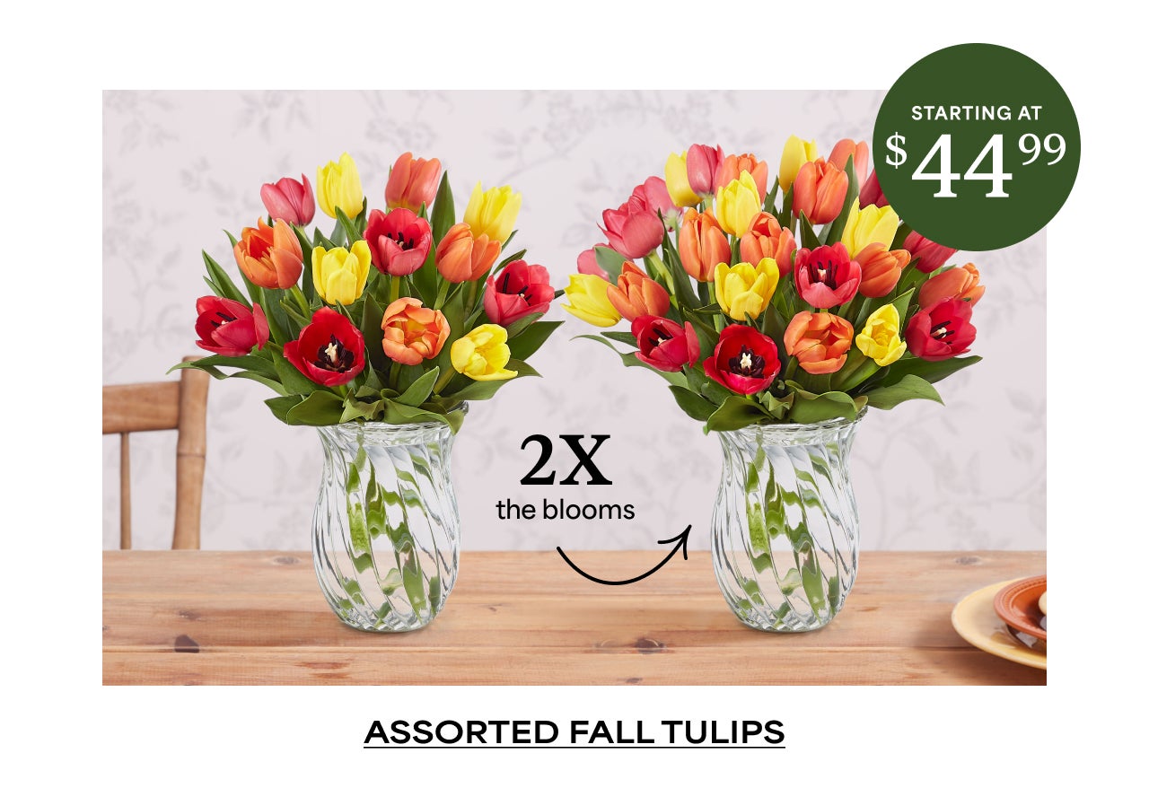 Assorted Fall Tulips | Starting at $44.99