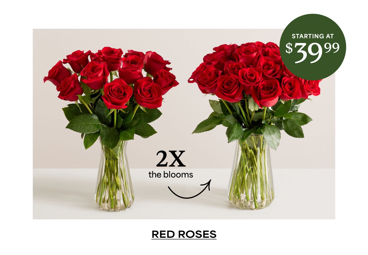 Red Roses | Starting at $39.99