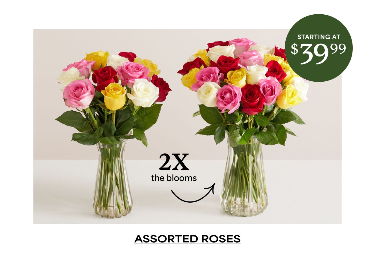 Assorted Roses | Starting at $39.99