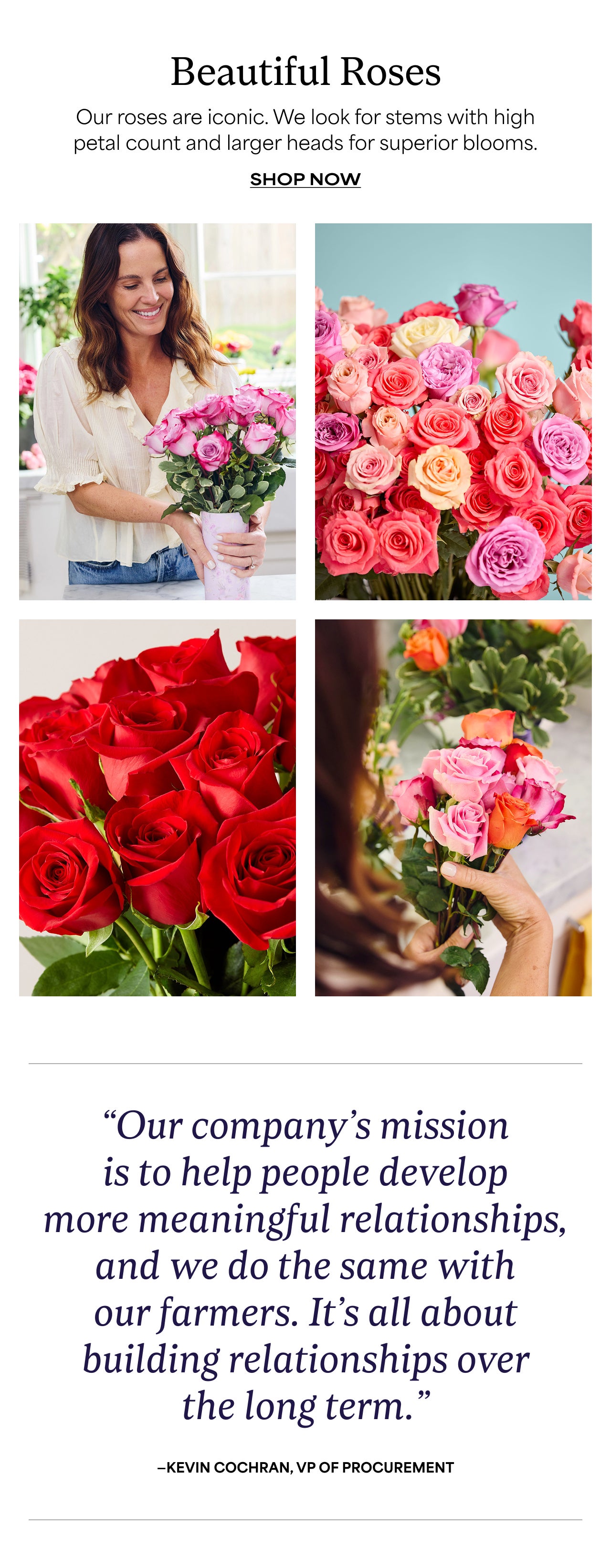 Beautiful Roses | Shop Now