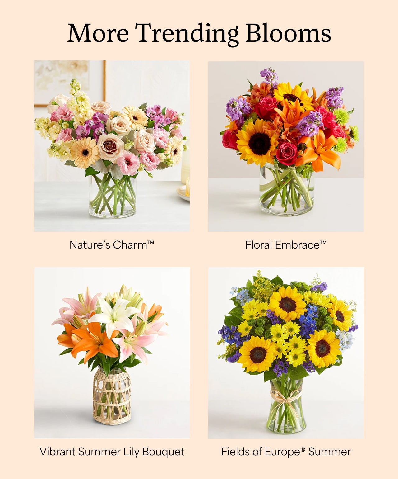 More Trending Blooms | Shop Now
