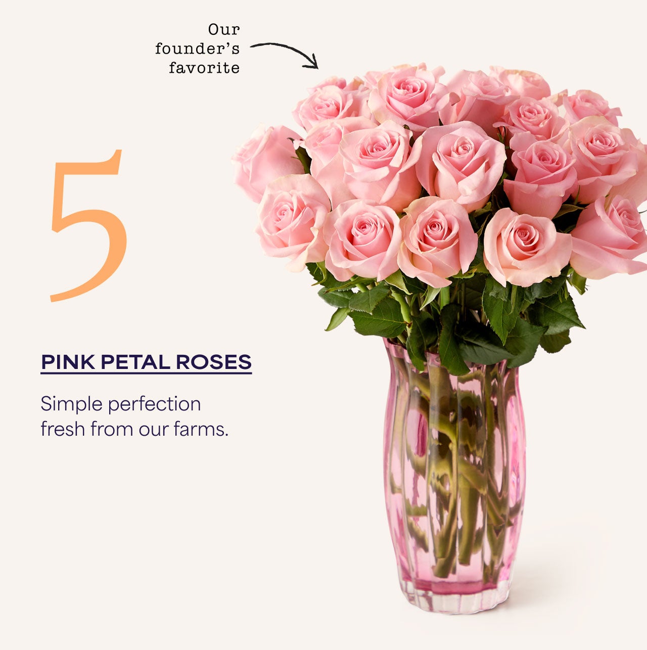 Five | Pink Petal Roses