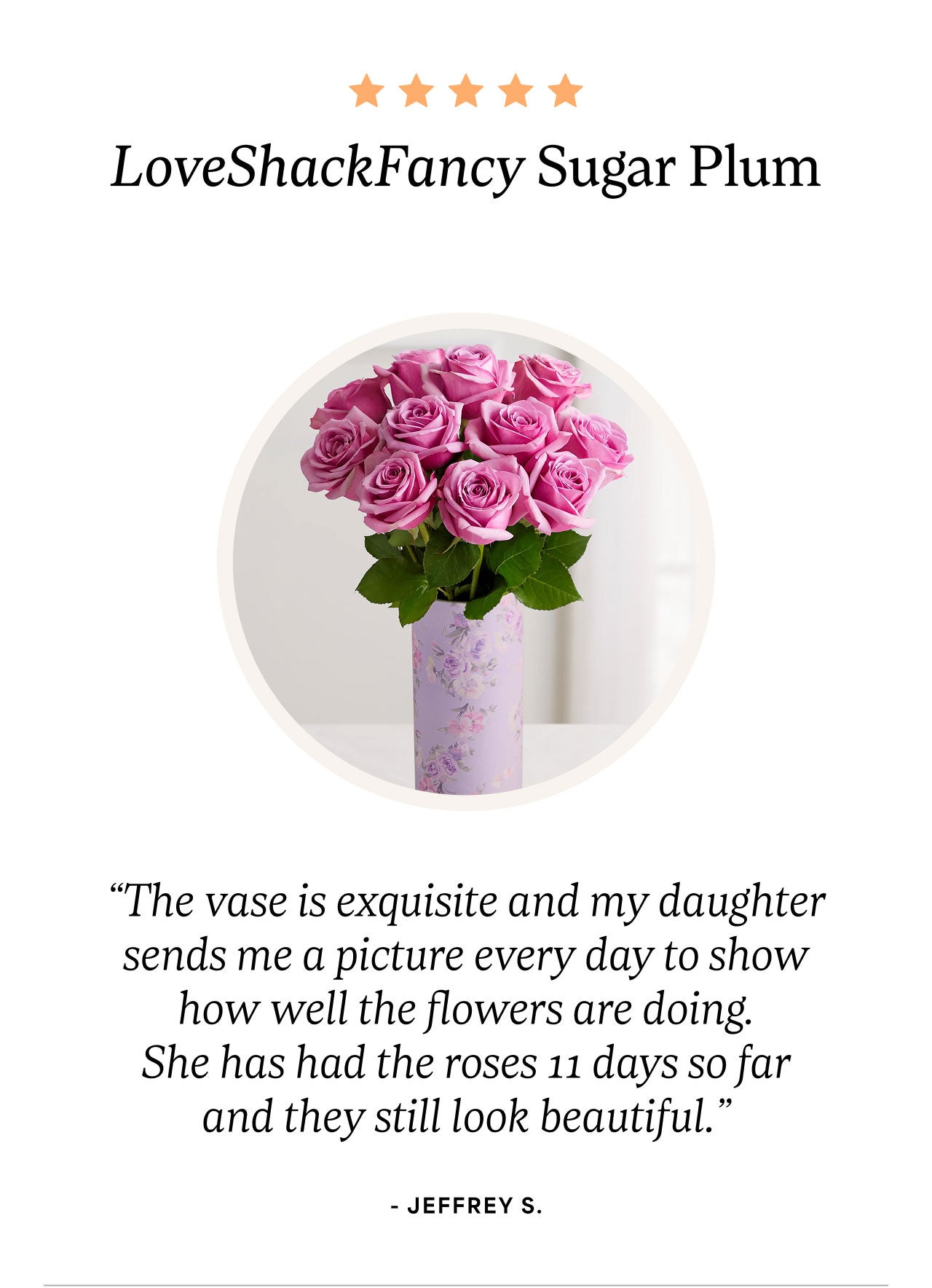 LoveShack Fancy Sugar Plum | 