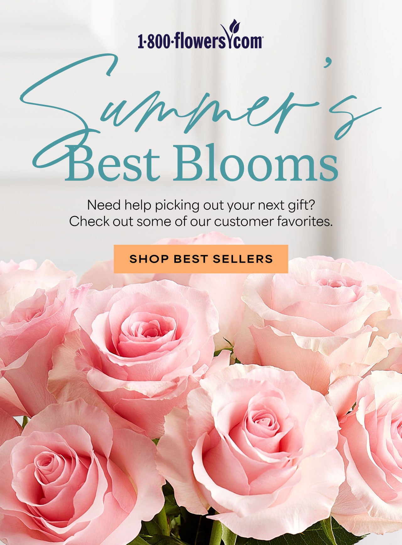 Summer's Best Blooms | Shop Best Sellers