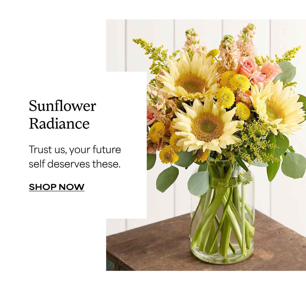 Sunflower Radiance | Shop Now