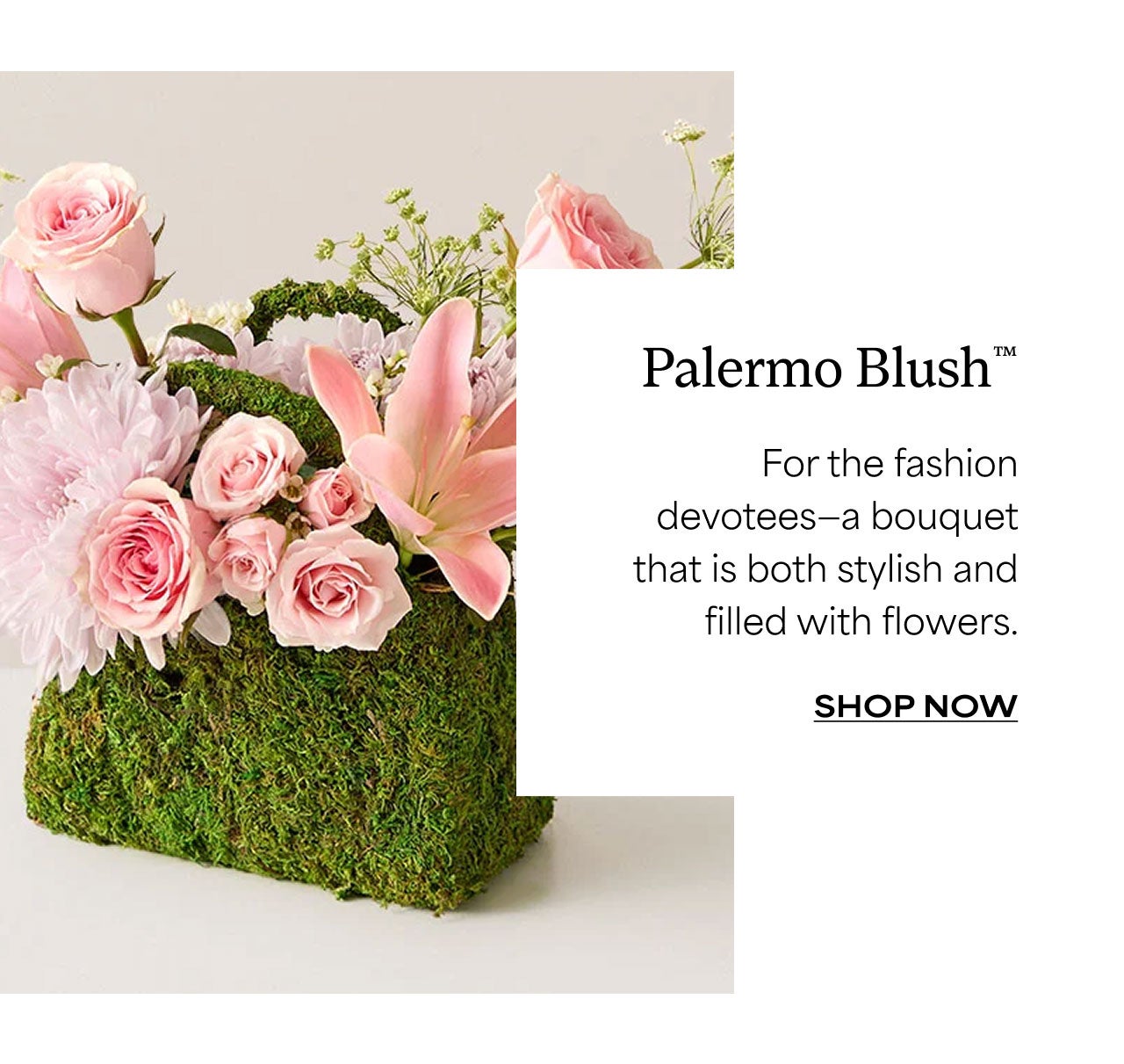 Palermo Blush | Shop Now