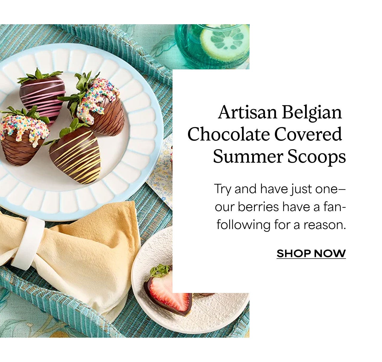 Artisan Belgian Chocolate Covered Summer Scoops | Shop Now