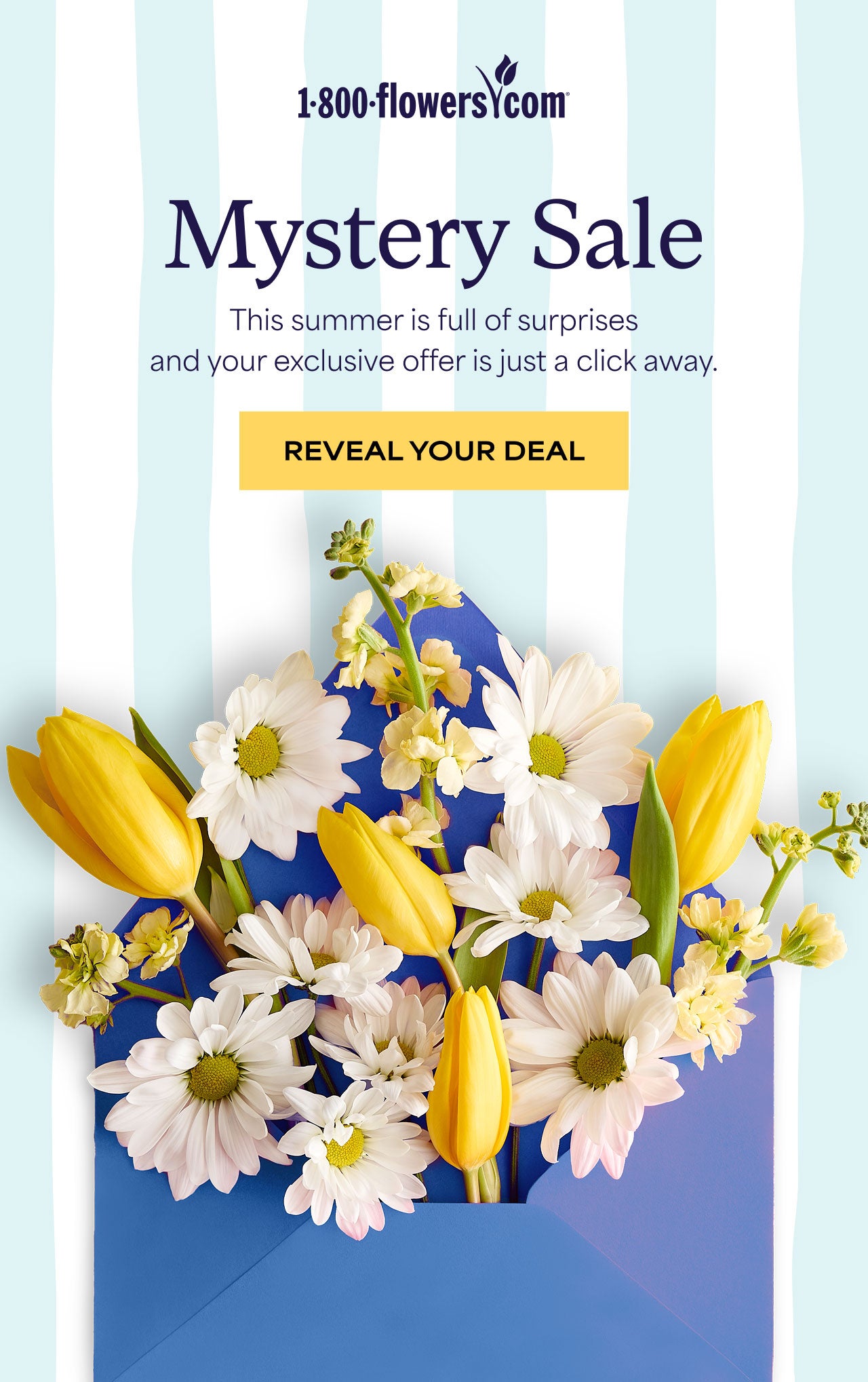 Mystery Sale | Reveal Your Deal | Today Only!