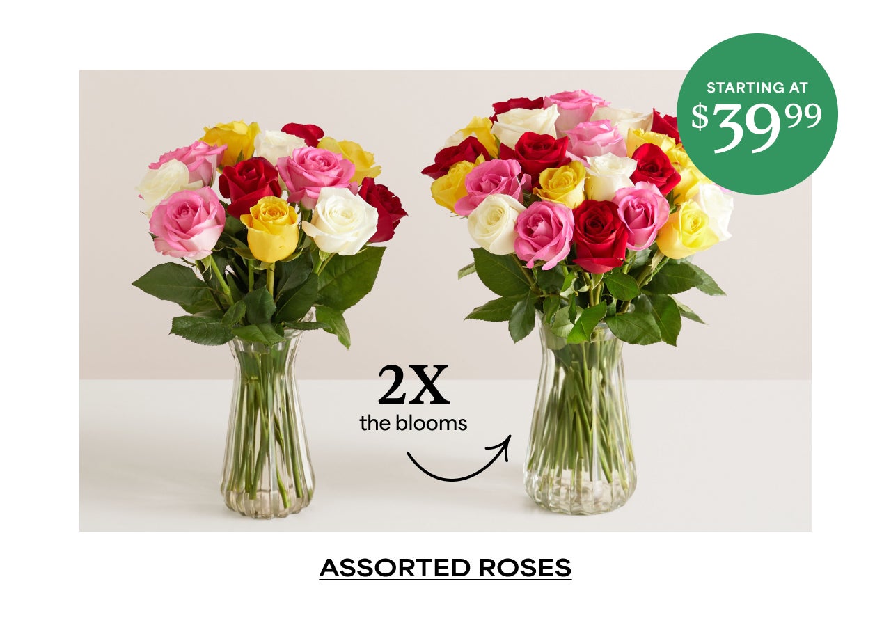 ASSORTED ROSES