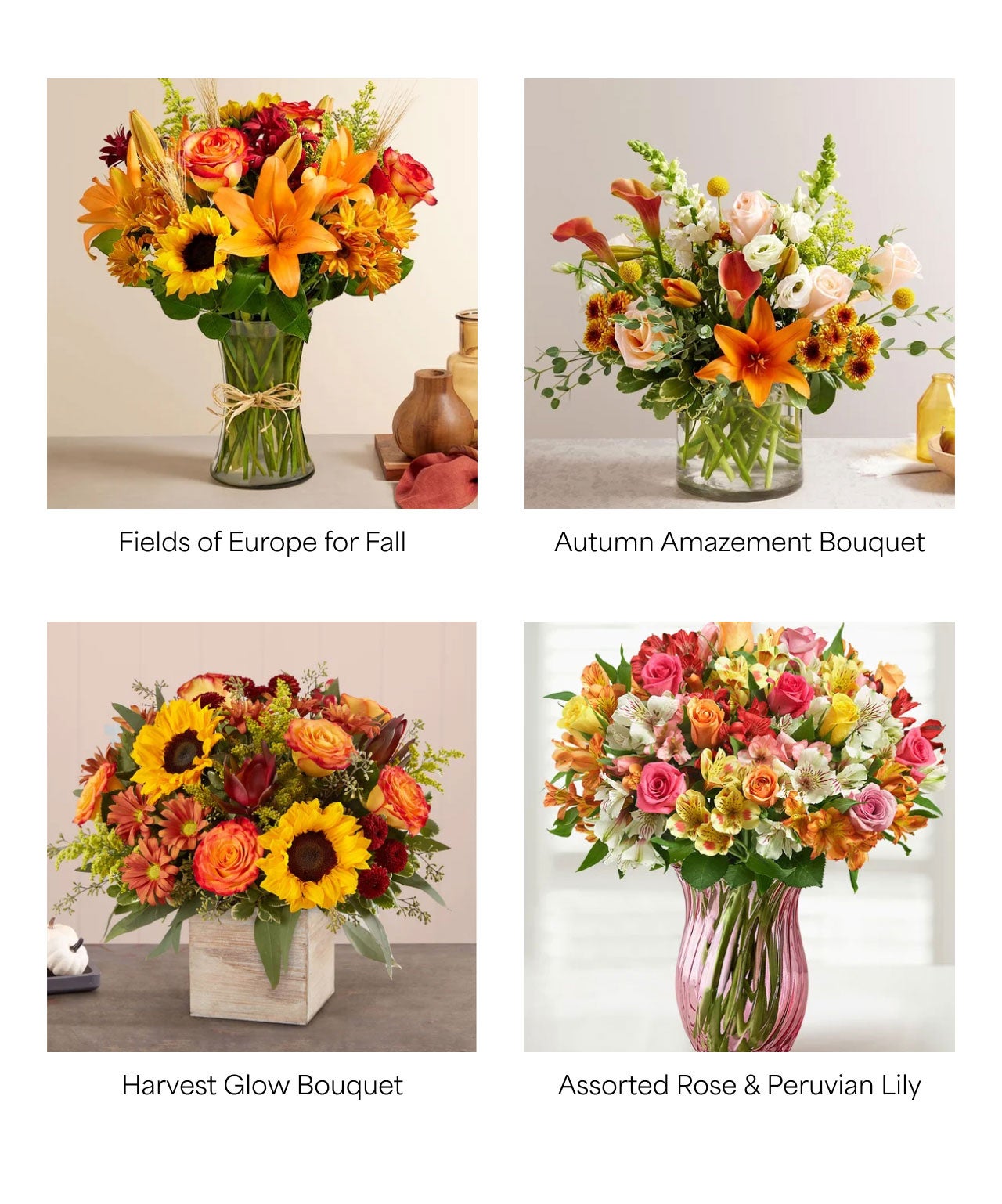 SHOP FALL FLOWERS