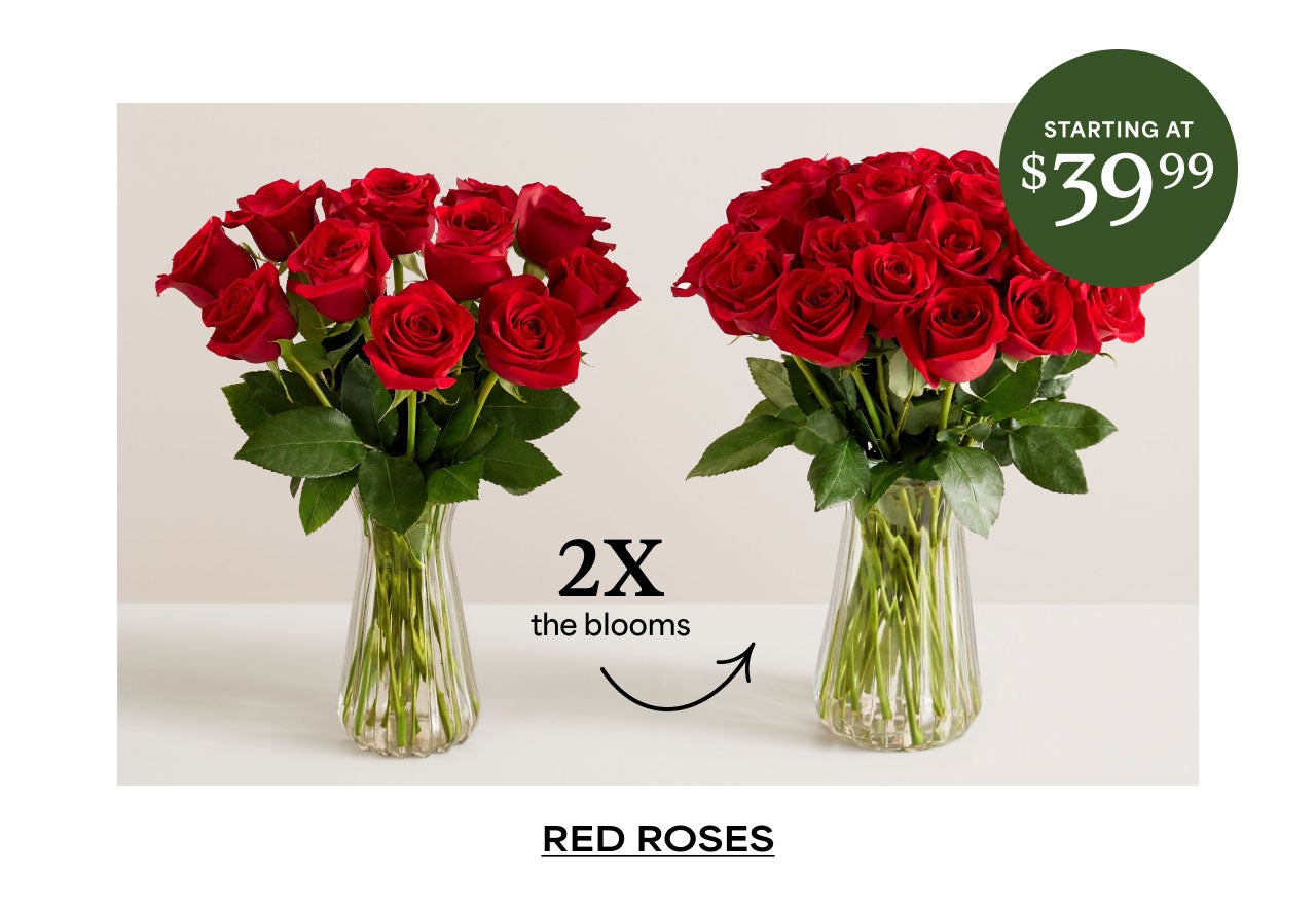 SHOP 2X RED ROSES