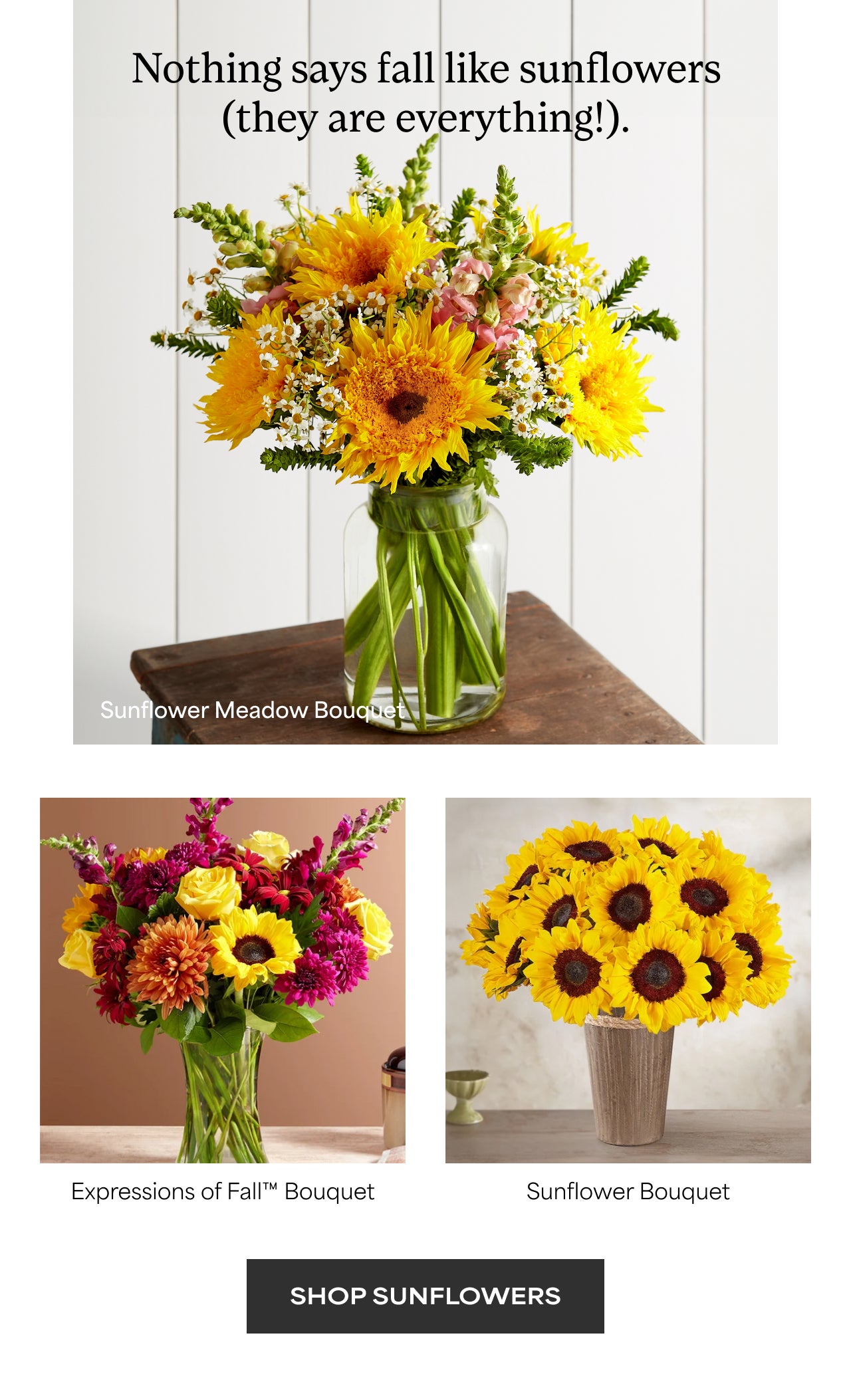 SHOP SUNFLOWERS