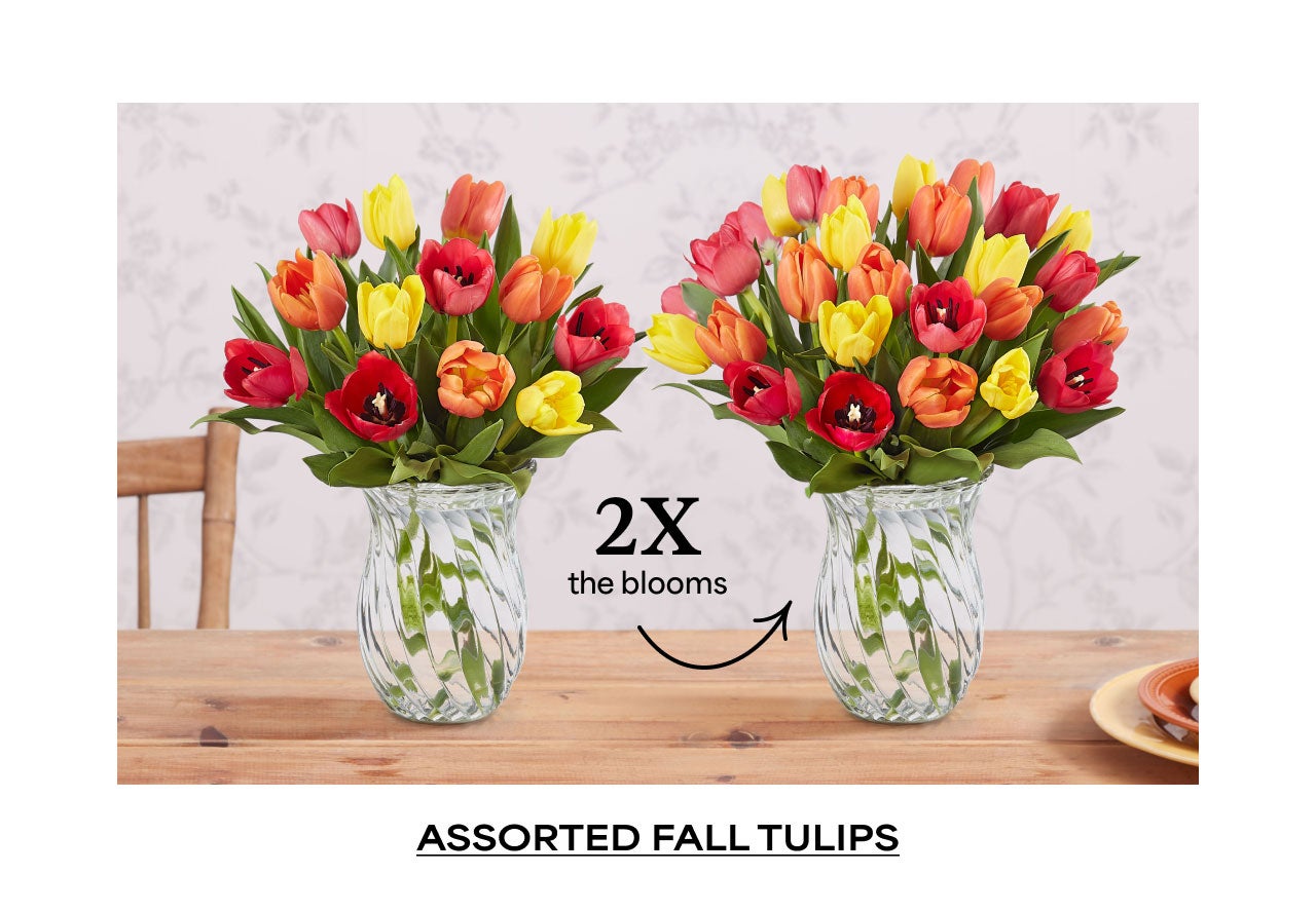 ASSORTED FALL TULIPS