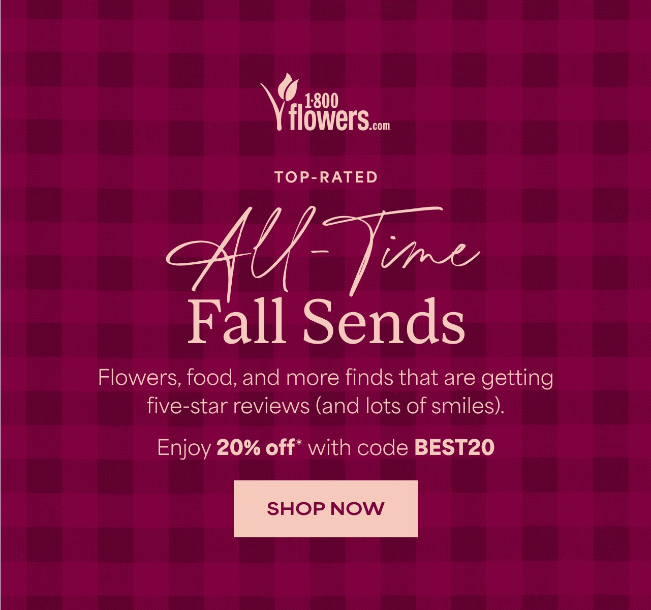 Top-Rated All-Time Fall Favorites | Flowers, food, and more finds that are getting five-star reviews (and lots of smiles). | Enjoy 20% off with Code BEST20