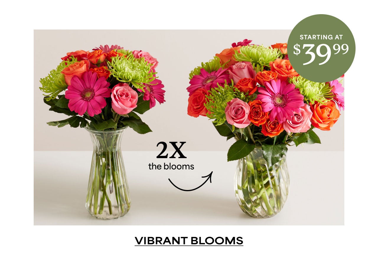 2X the Blooms | Vibrant Blooms