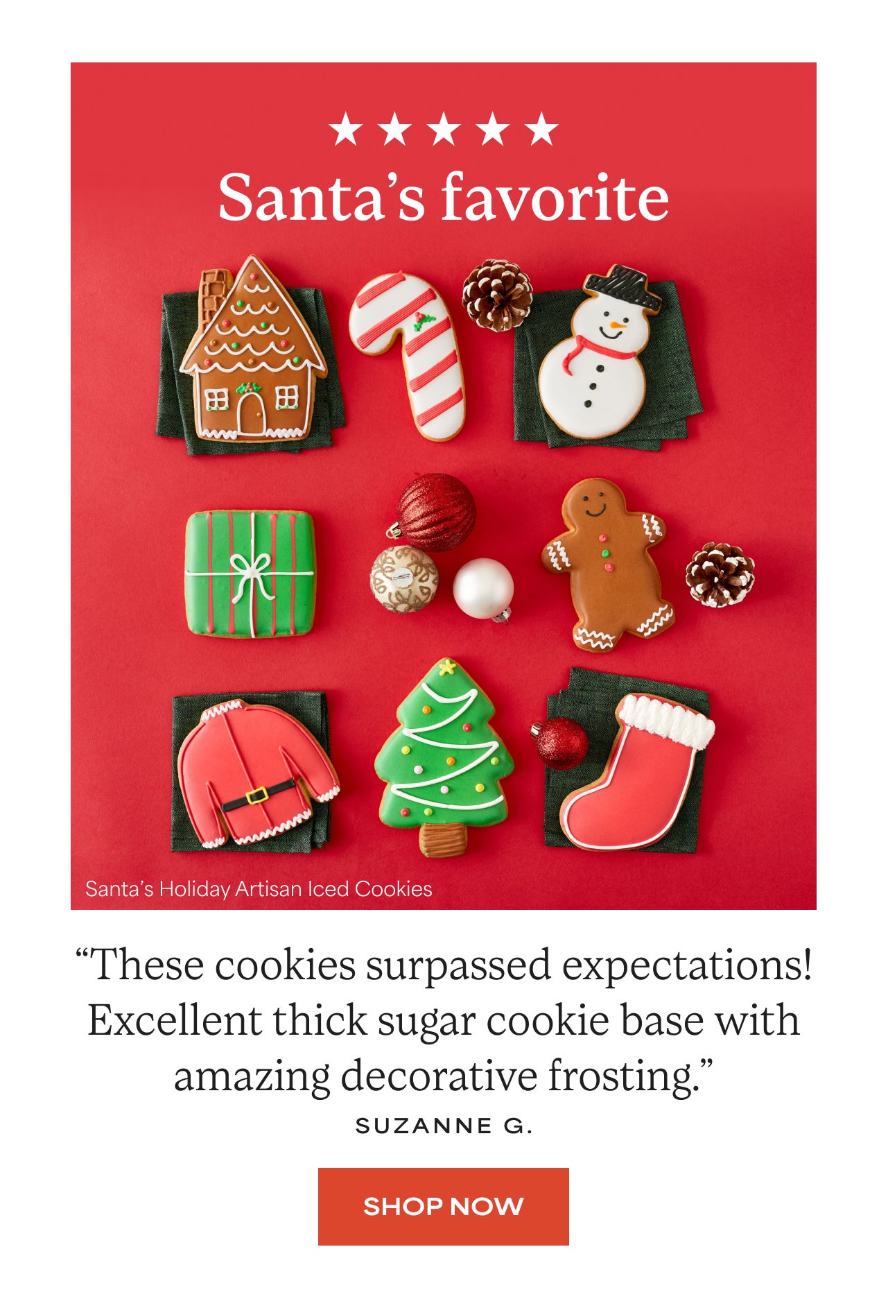 Santa's Favorites | Santa's Holiday Artisan Iced Cookies | Shop Now