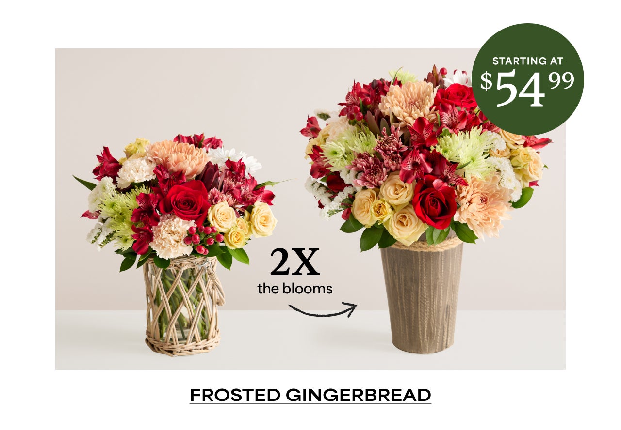 2x The Blooms | Shop Frosted Gingerbread