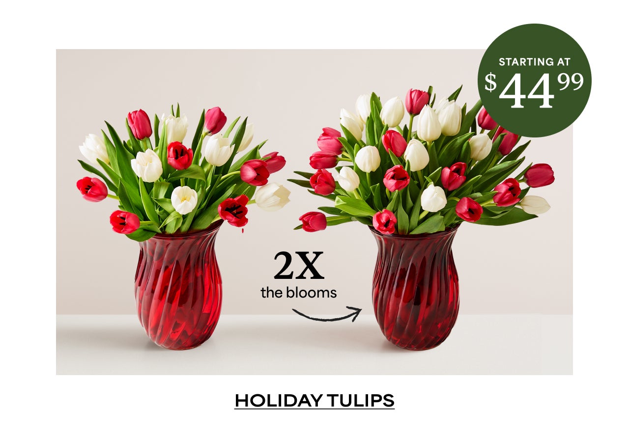 2x The Blooms | Holiday Tulips